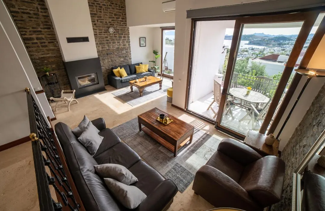 Dolphin Villa-1