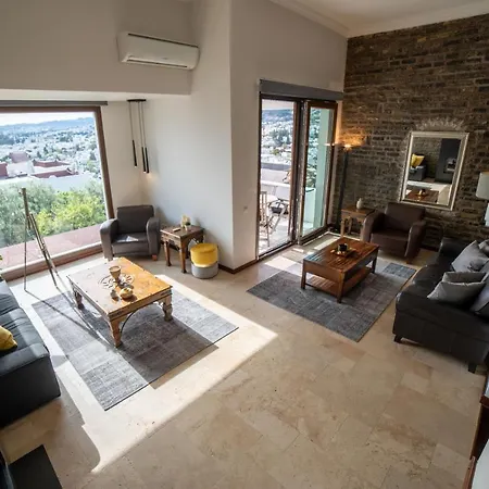 Dolphin Villa-3