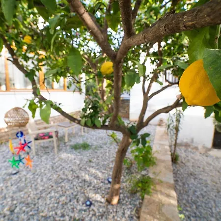 Dolphin Villa-2